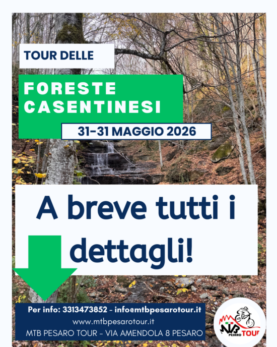 Foreste Casentinesi
